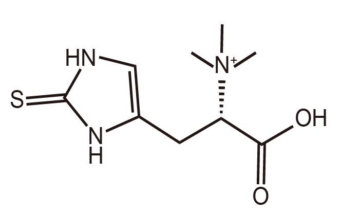 Ergothioneine Ergothioneine