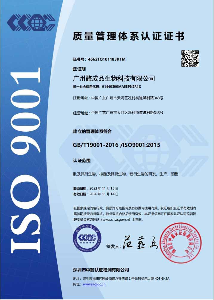 ISO9001 深圳