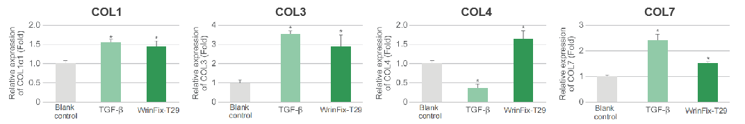 WrinFix-T29